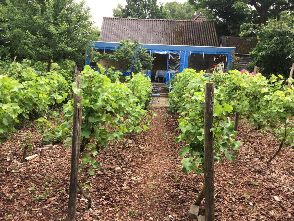 Weurt Bed And Garden Alde Coninckshof Bed & Breakfast エクステリア 写真